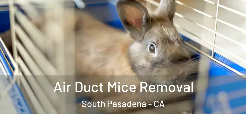 Air Duct Mice Removal South Pasadena - CA