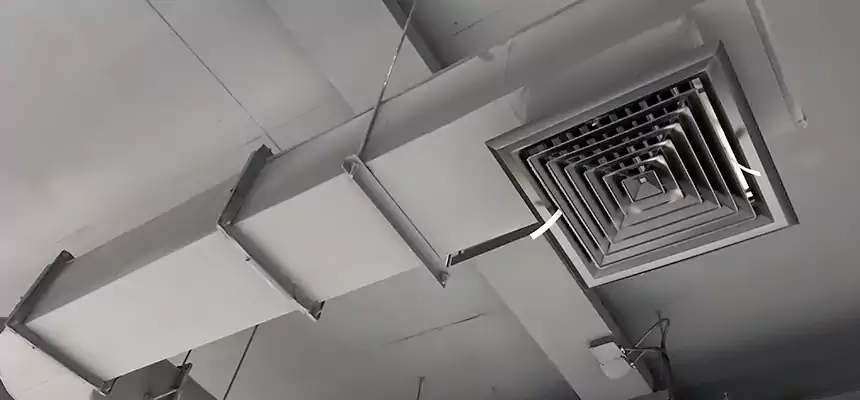 Our Pest Removal From Ducts Services in South Pasadena, CA