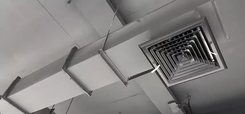 Our Rodent Droppings In Vents Services in South Pasadena, CA