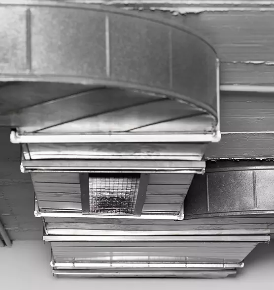 Professional Air Duct Pest Removal in South Pasadena, CA