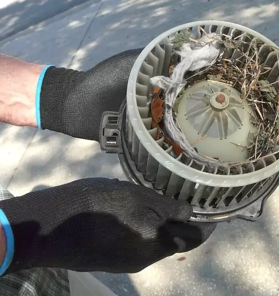 About Air Duct Rat Removal in South Pasadena, CA