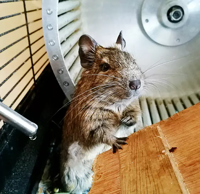 Why Homeowners & Businesses Trust Us South Pasadena, CA?